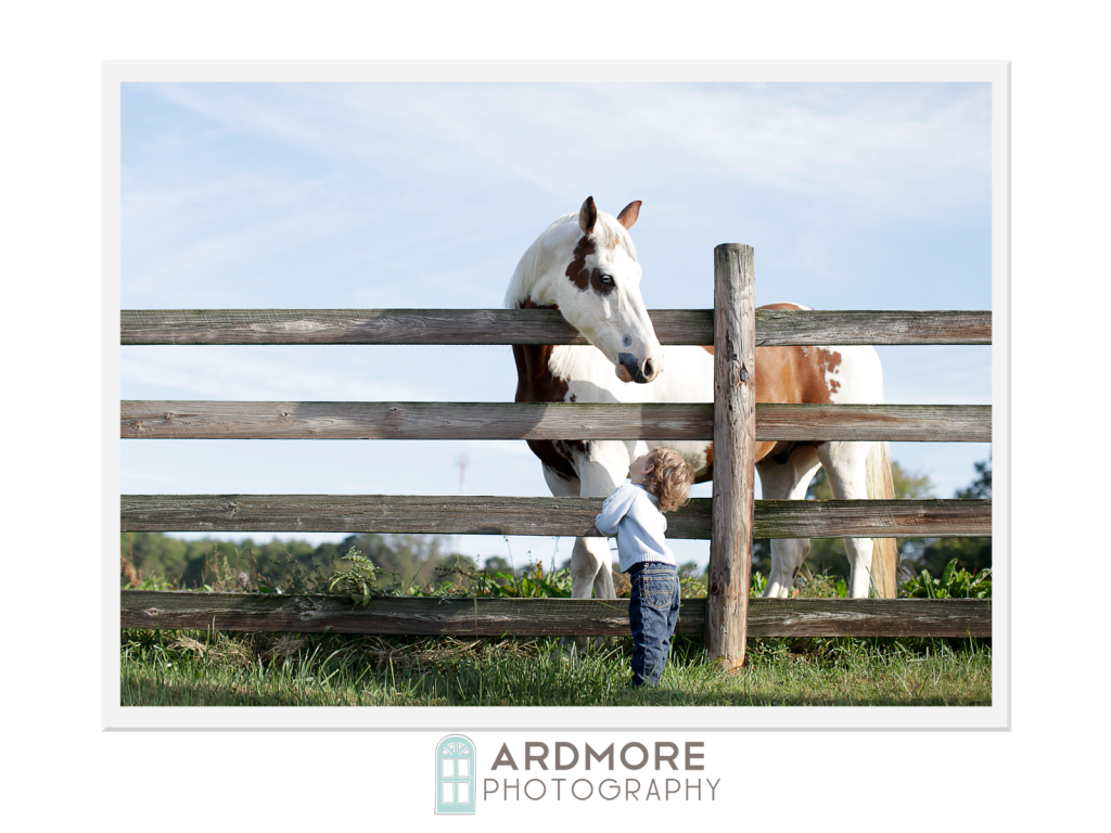 Triad-Family-Photography