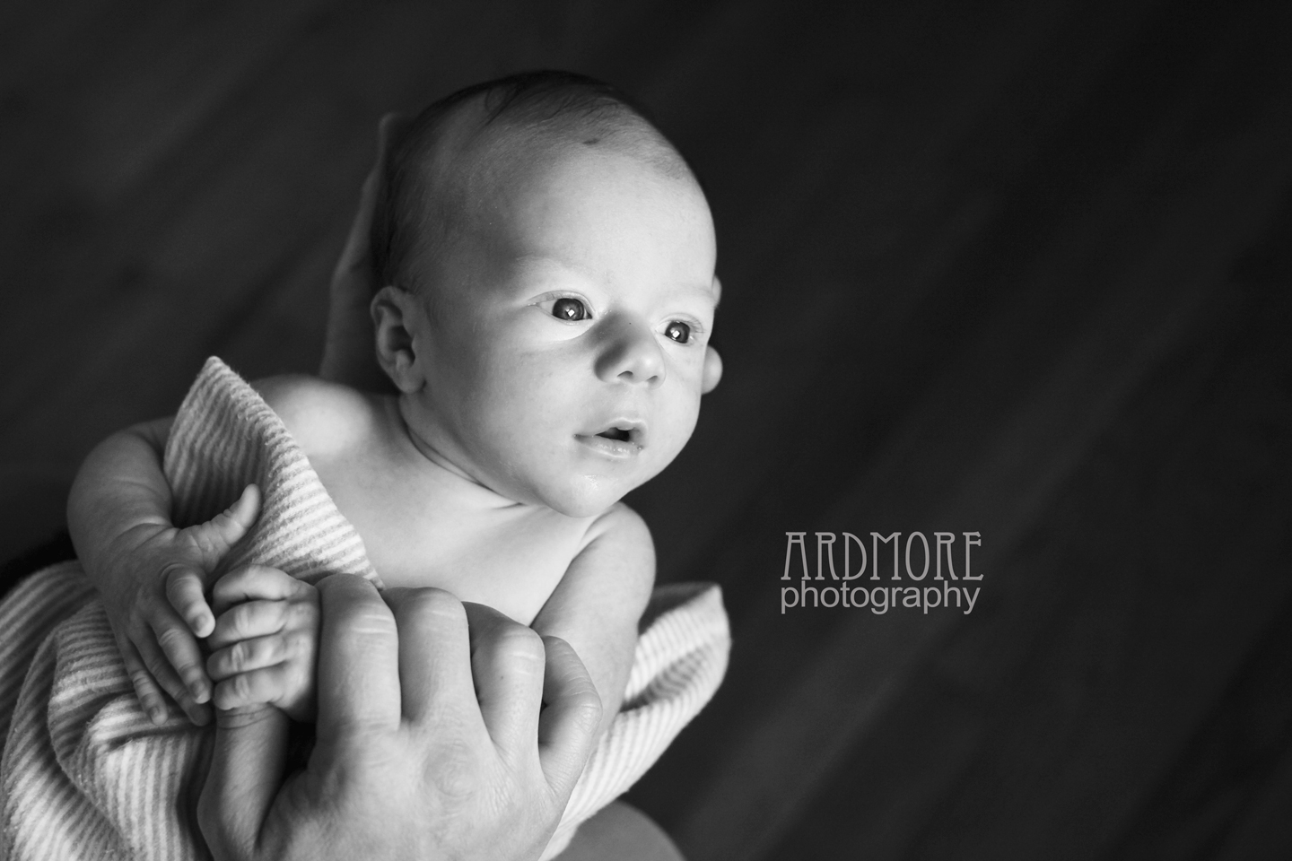 Sweet Baby L | Winston-Salem Newborn Photographer | Ardmore Photography
